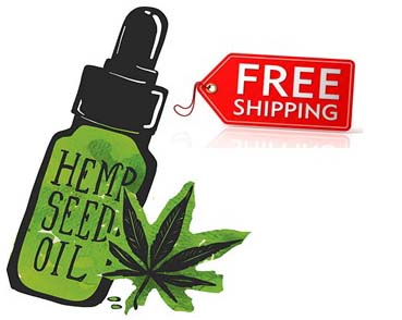 Free Shipping
